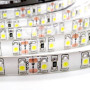 Изображение Світлодіодна стрічка B-LED 3528-120 G IP65 зелена, герметична, 1м ИМ Light-Deco 3 