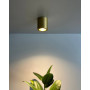 Изображение Точечный светильник Nowodvorski 10716 Ceara GU10 1x15W IP44 Gold ИМ Light-Deco 1 