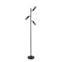 Изображение G 74755/3F SM Matte Black ИМ Light-Deco 1 