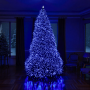Изображение Гирлянда Рождественская фея уличная 100 (м) 1000 LED черный провод Синий CF1000L100MBBL ИМ Light-Deco 4 