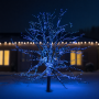 Изображение Новогодняя гирлянда уличная 100 м 1000 LED с солнечной батареей 8 режимов работы черный провод Синий SB1000L100MBBL ИМ Light-Deco 1 