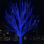 Изображение Гирлянда Нить уличная 30 (м) 300 LED черный провод Синий CF300L30MBBL ИМ Light-Deco 