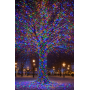 Изображение Гирлянда Рождественская фея уличная 100 м 1000 LED белый провод Мультиколор CF1000L100MWML ИМ Light-Deco 5 