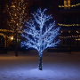 Изображение Гирлянда Нить уличная 30 м 300 LED белый провод Белый CF300L30MWW ИМ Light-Deco 