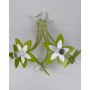 Изображение Люстра Nowodvorski 36901 FLOWERS GREEN V PL ИМ Light-Deco 1 