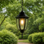 Зображення Підвісний вуличний ліхтар у чорному корпусі 35х15 см ИМ Light-Deco 5 